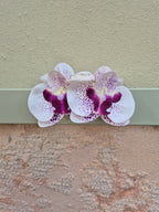 Hair clip - VIOLA VARIEGATO