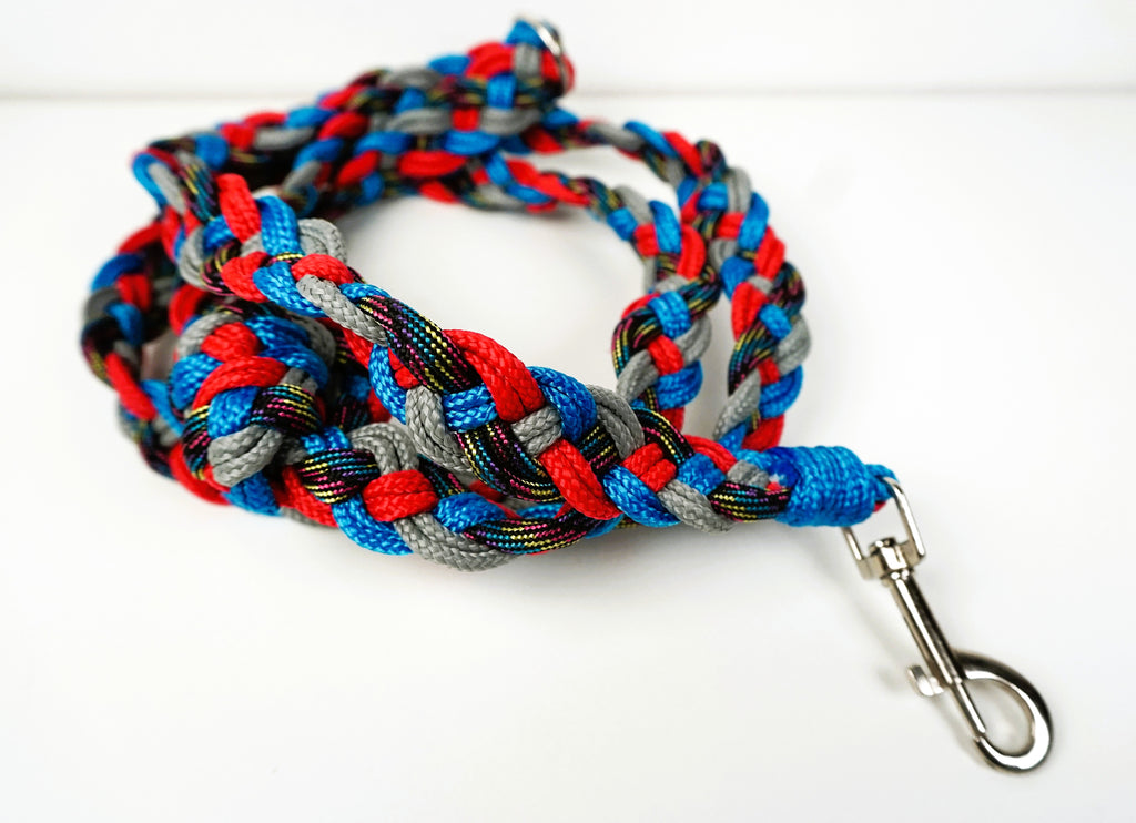 Guinzaglio per amici a 4 zampe taglia medio/piccola - grigio, azzurro, rosso e nero