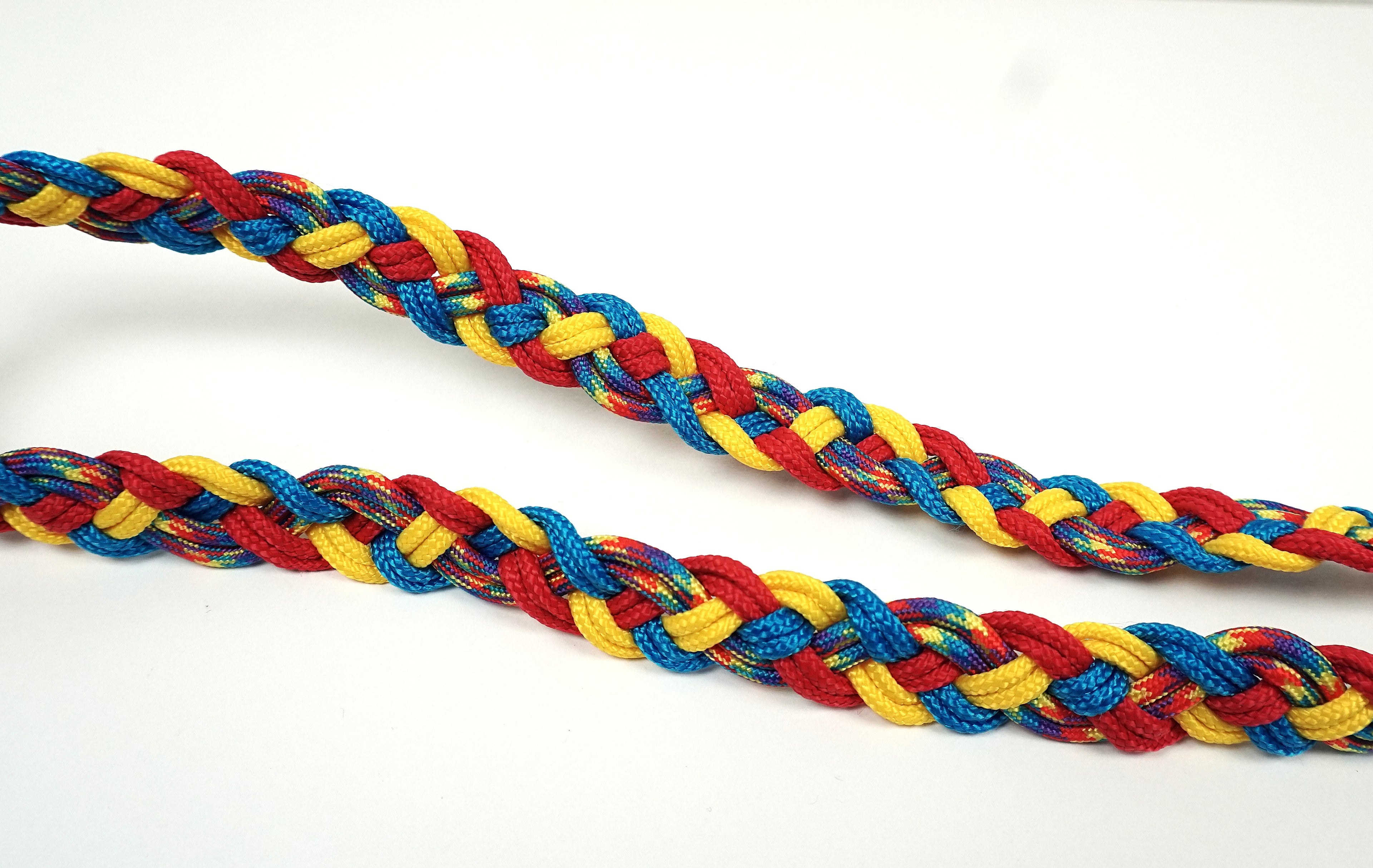 Guinzaglio per amici a 4 zampe taglia medio/grande - giallo, blu e rosso