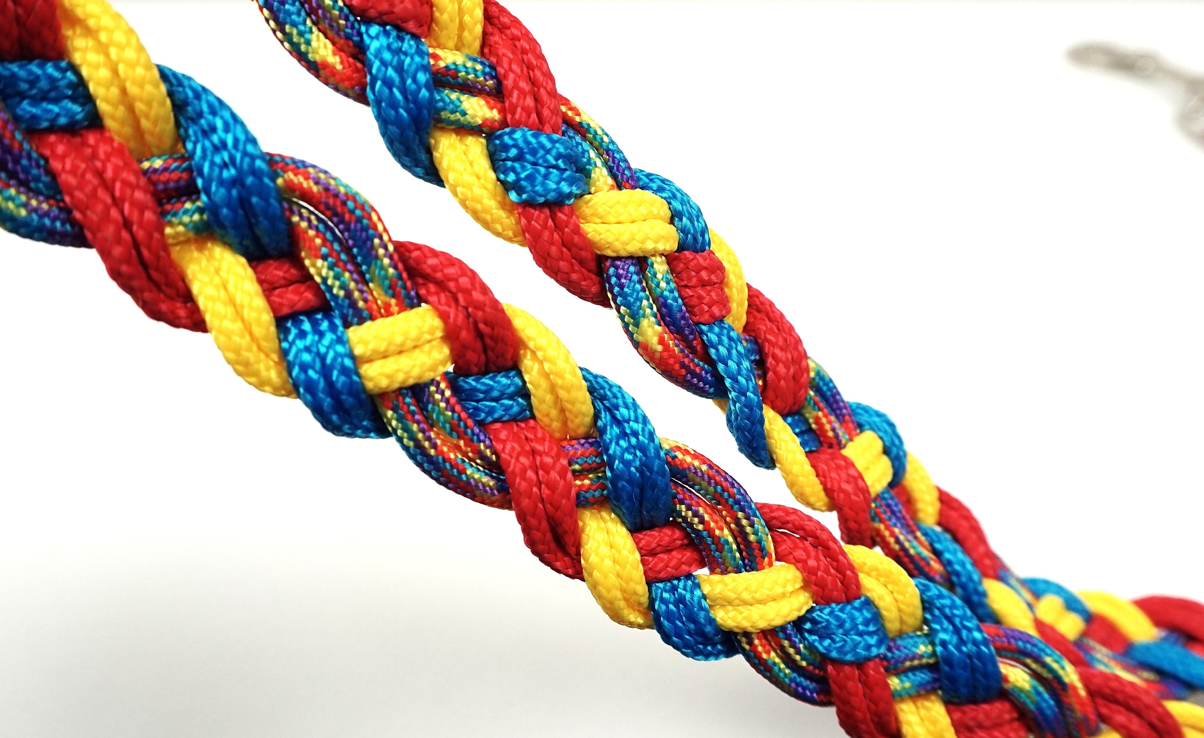 Guinzaglio per amici a 4 zampe taglia medio/grande - giallo, blu e rosso